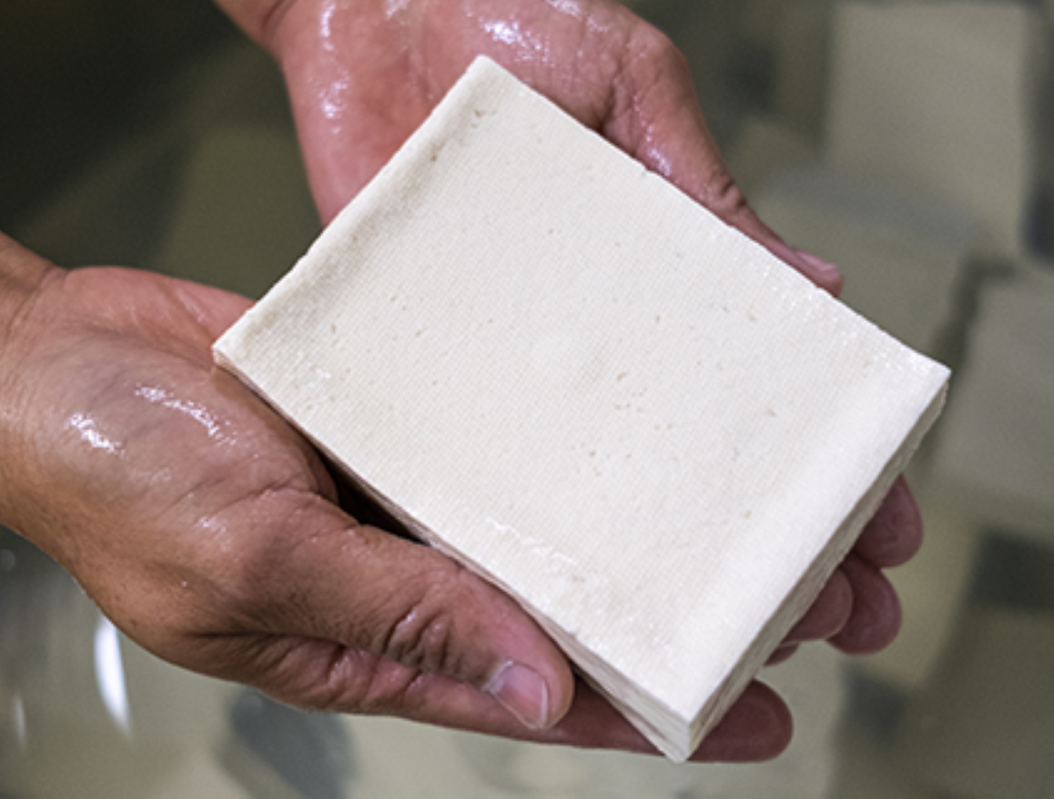 Corpore sano (Suzu Tofu)