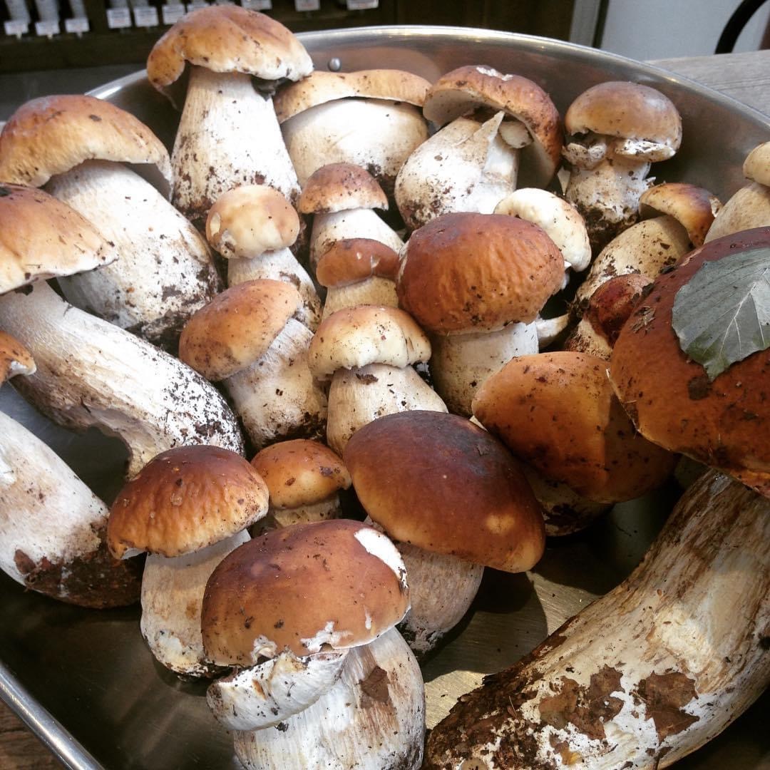 champignons