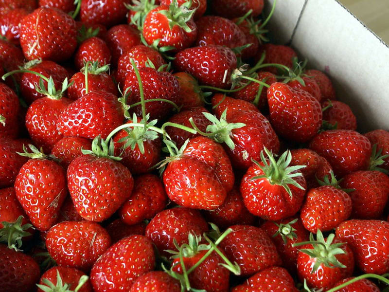 Les Fraises du Val du Gy