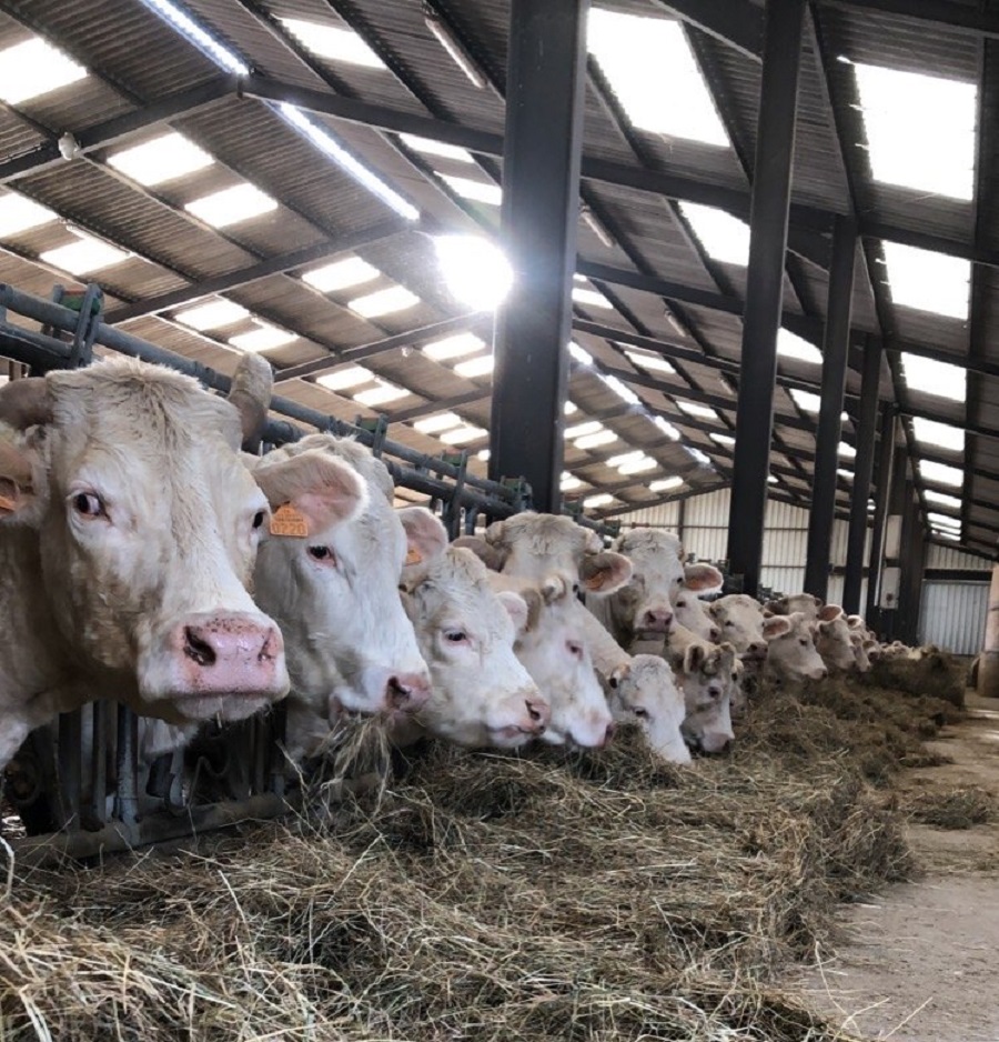 ferme du vernoy