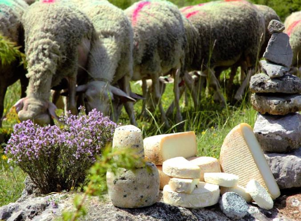 La petite fromagère à Ribeyret Ribiers