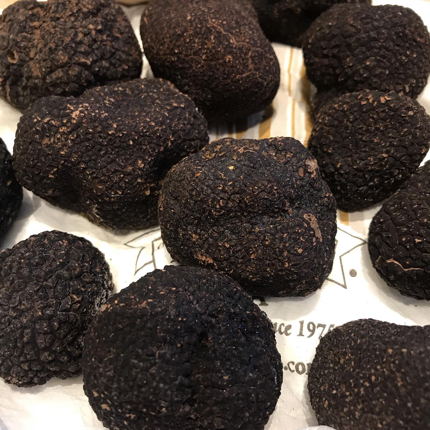 Truffe melano les épicentriques à Lille