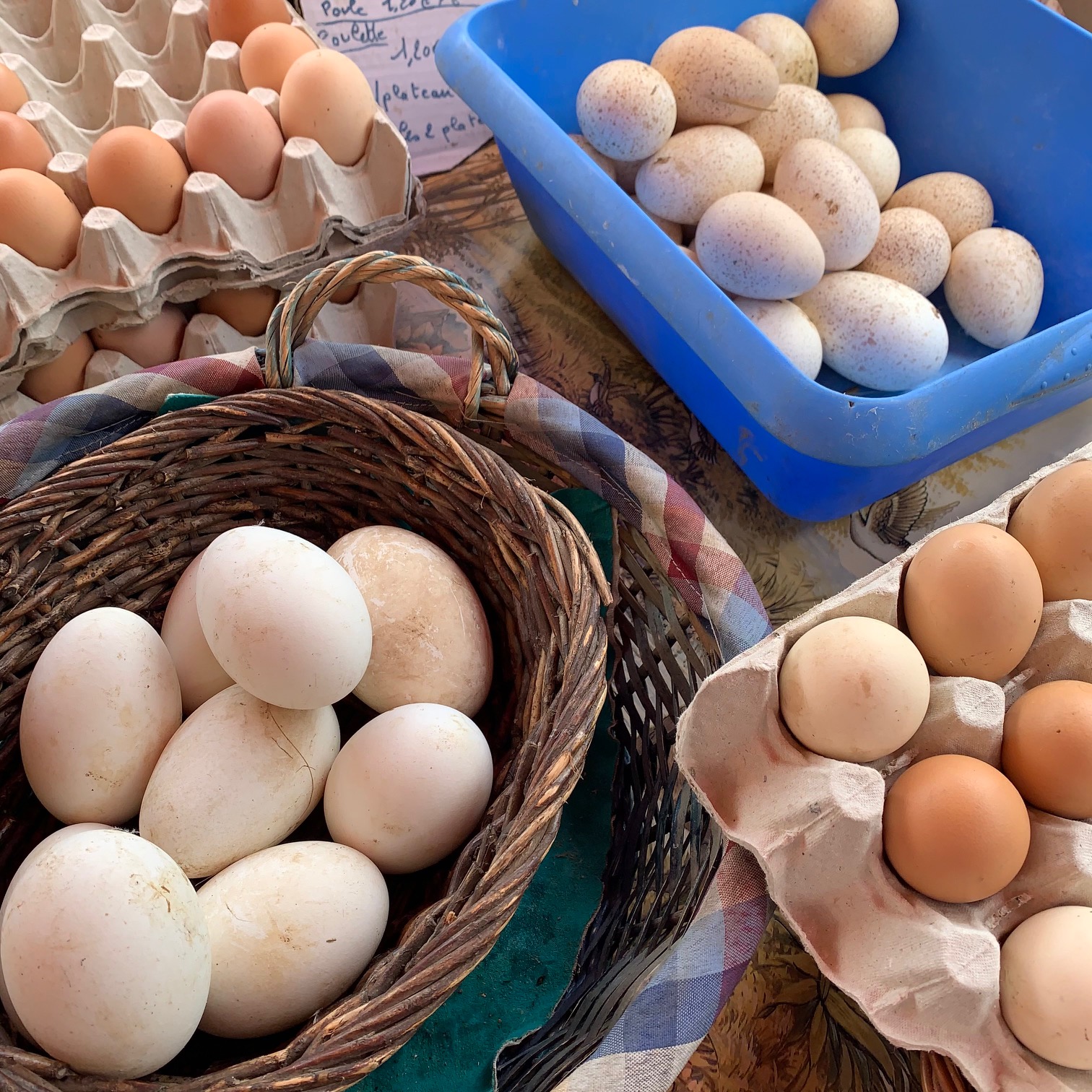 Oeufs d'oie, de dinde, de poule sur le marché d'Étaples sur mer