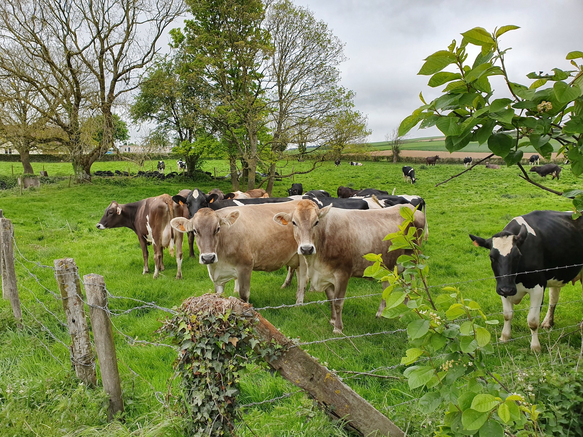 Ferme mionet