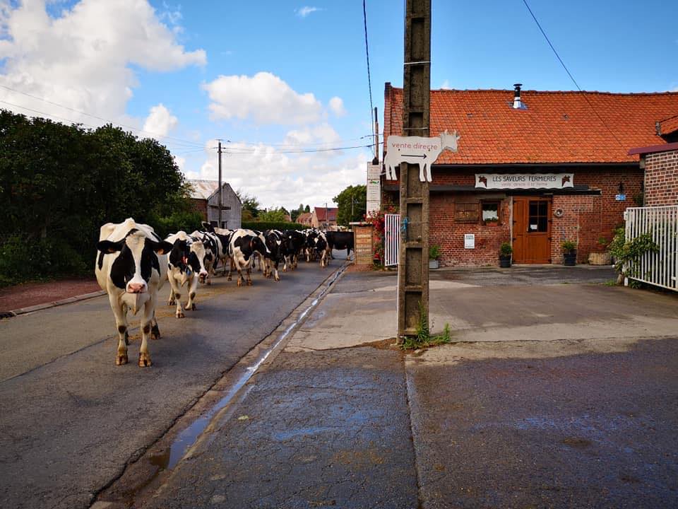 Les Saveurs fermières