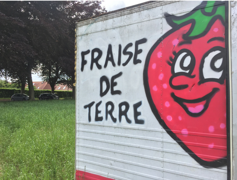 Fraises de Chéreng-Chéreng