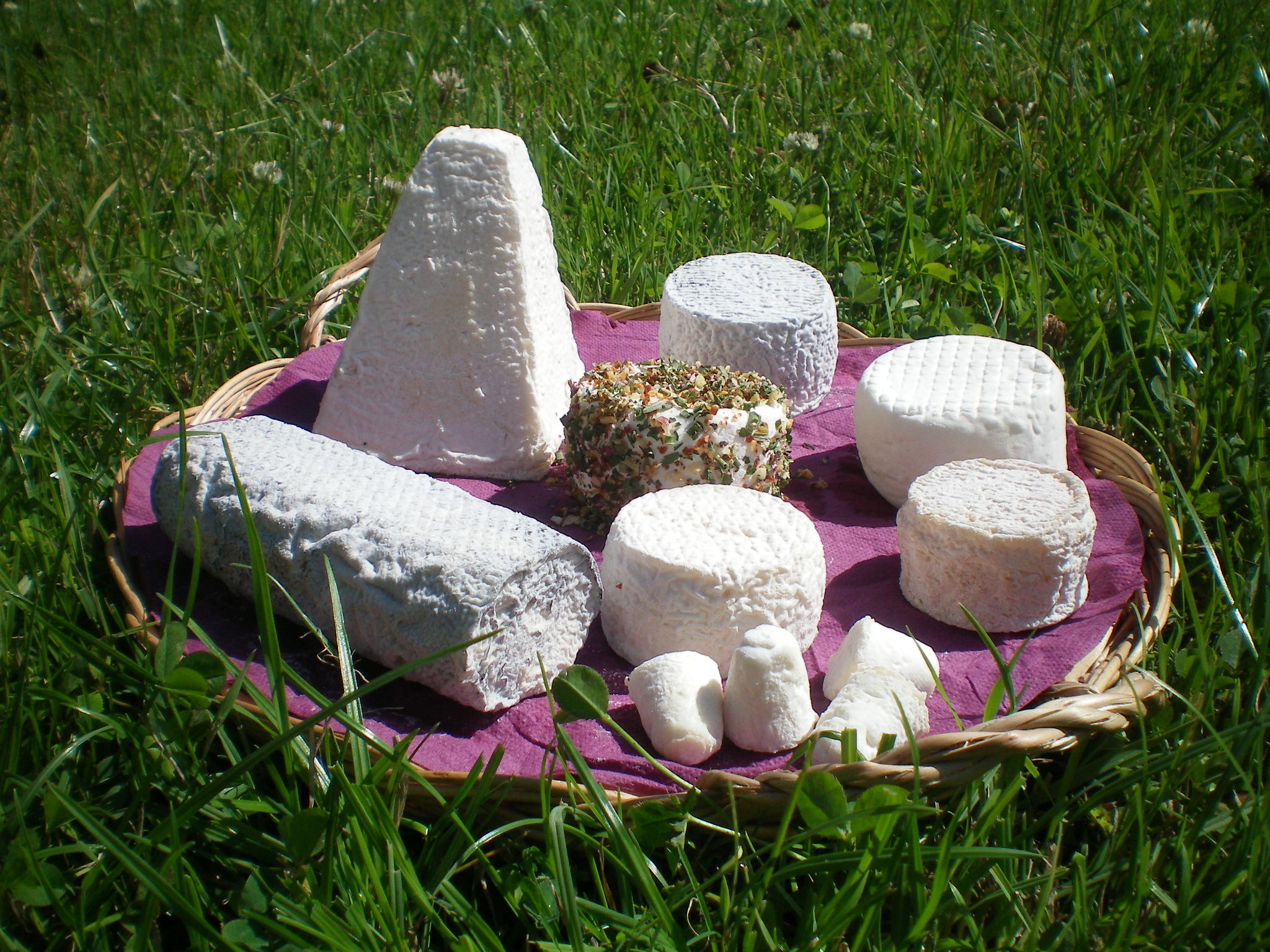La Ferme du petit Quenneval à Wirwignes, producteur de fromages de chèvre