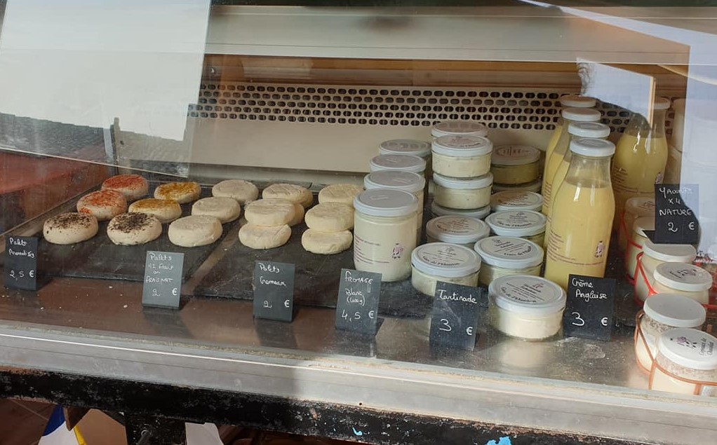 Gaec de l'Elanion - Éleveur fromager - Vache