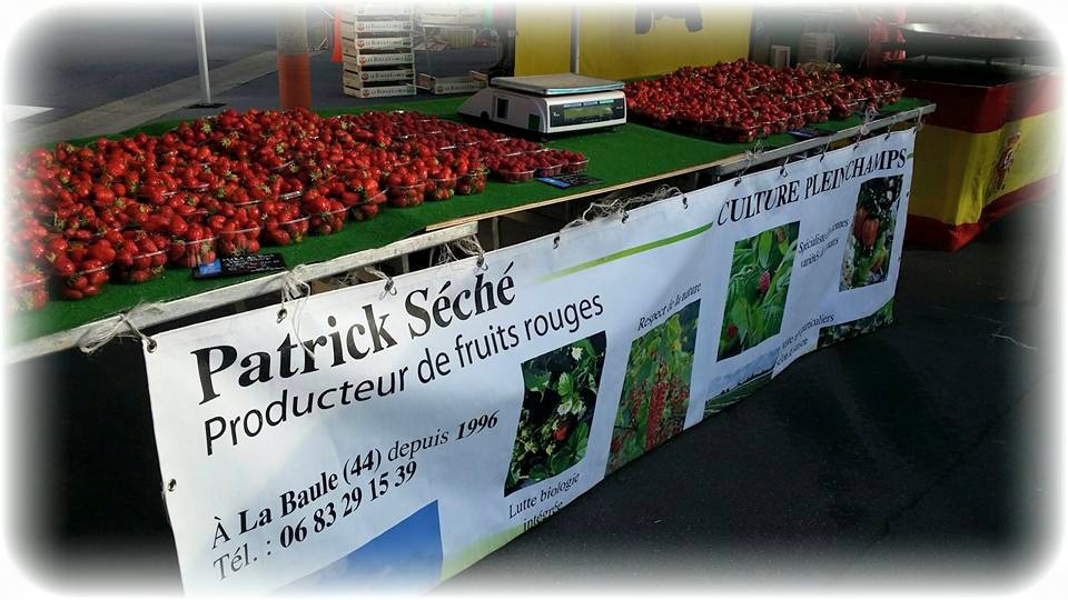 Fraise La Baule, Patrick Séché