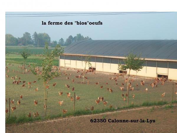 La Ferme des Bios Oeufs