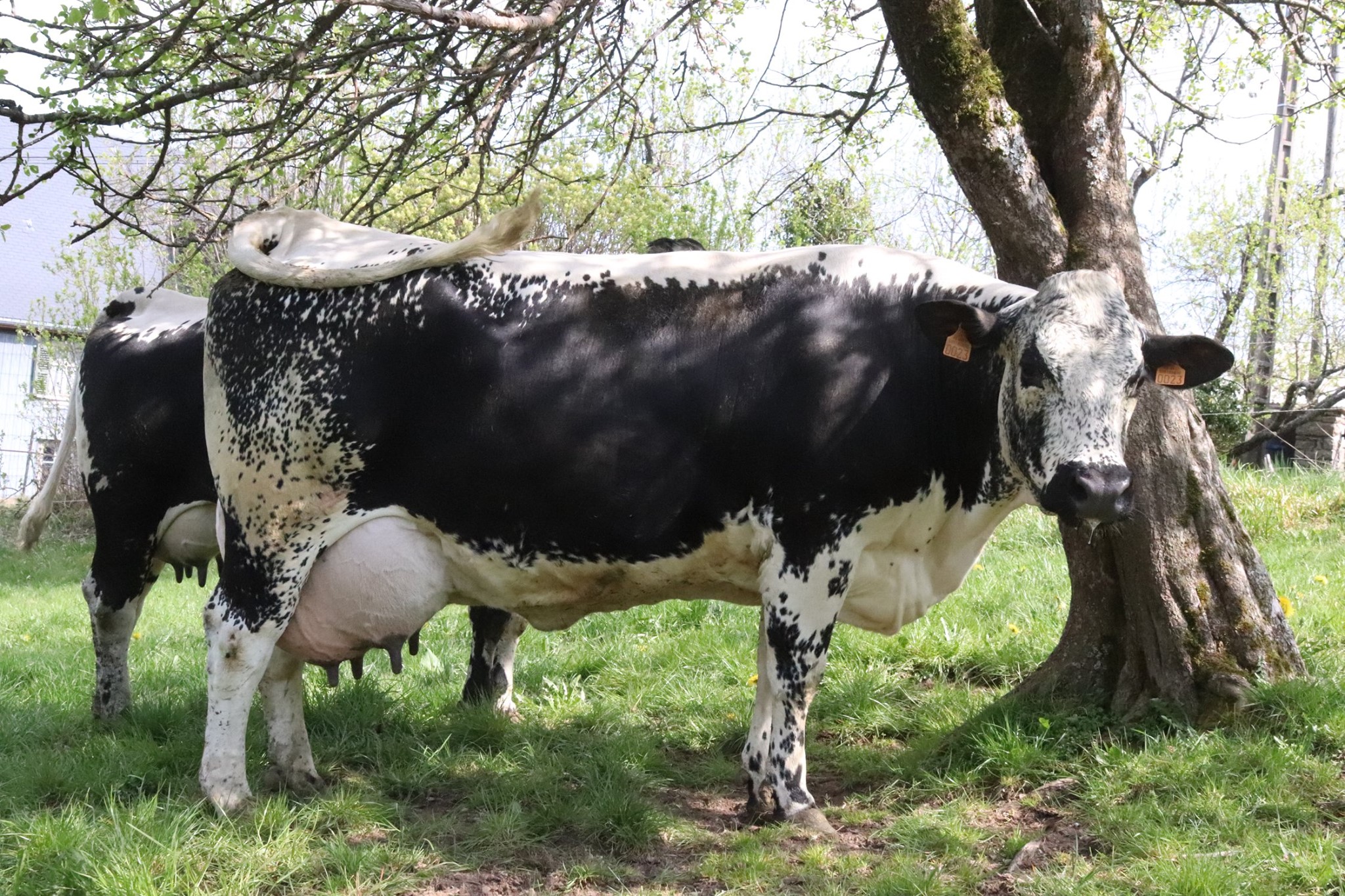 La ferme des hautes huttes