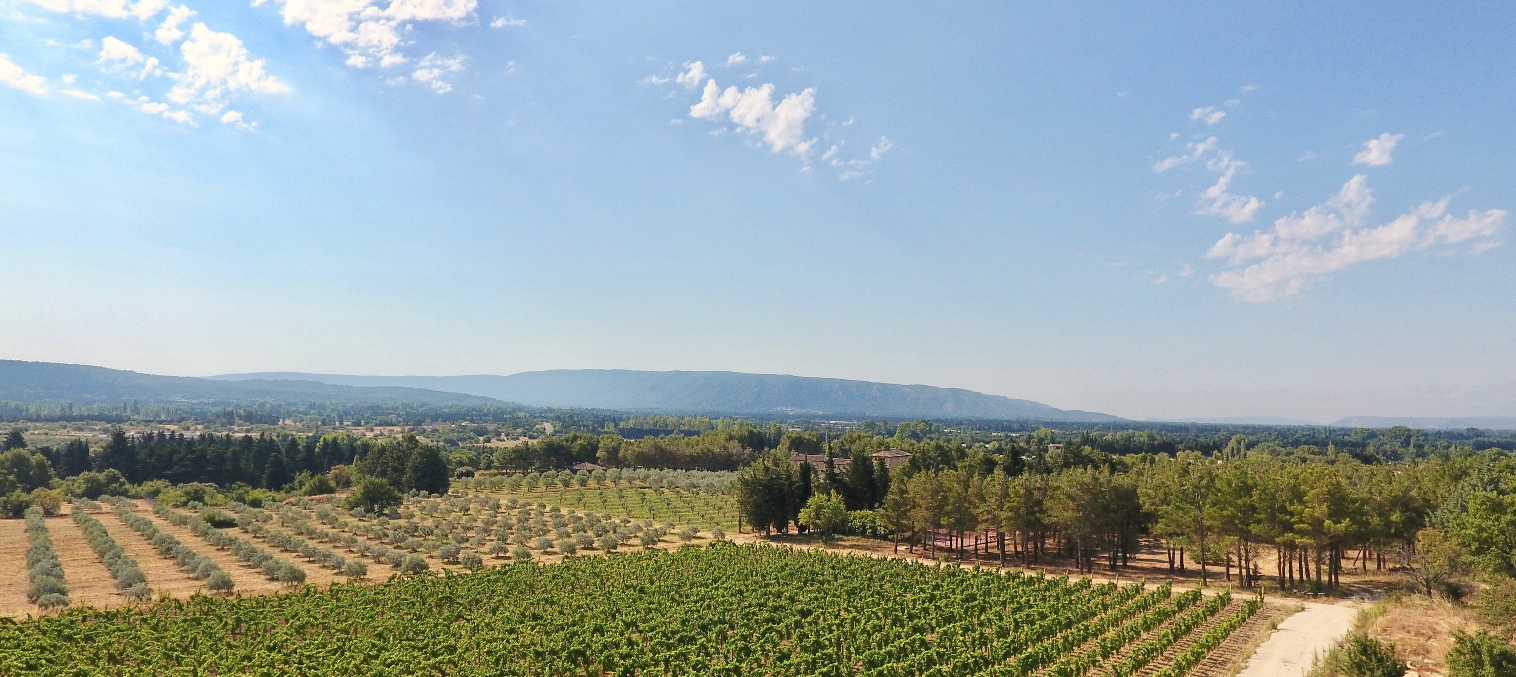 Domaine de Leos