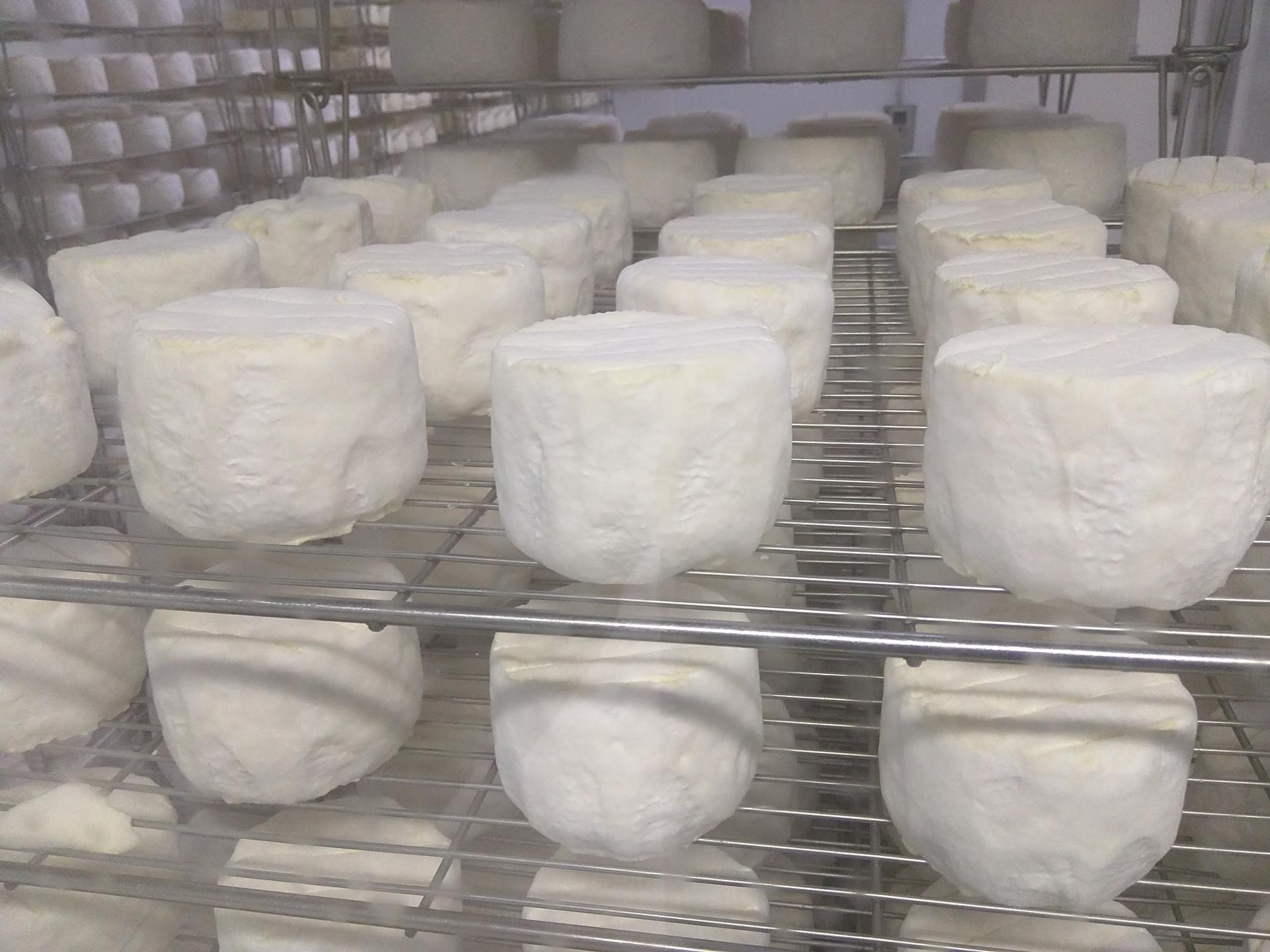 Fromagerie de Mussy