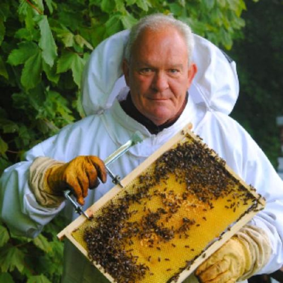 Fleurs d'abeilles Denis Pascal
