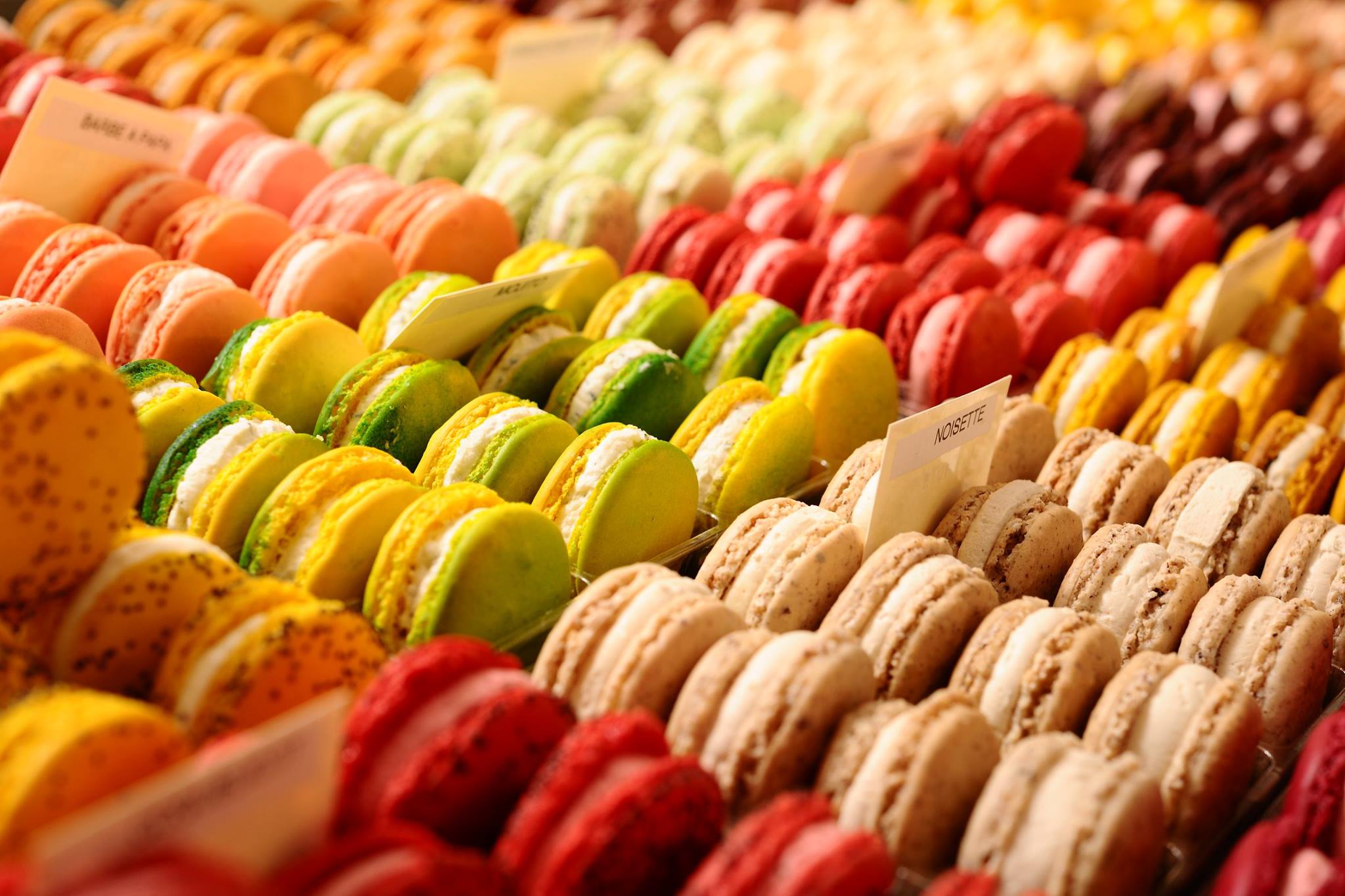 Steve Ghirardo - Créateur de Macarons