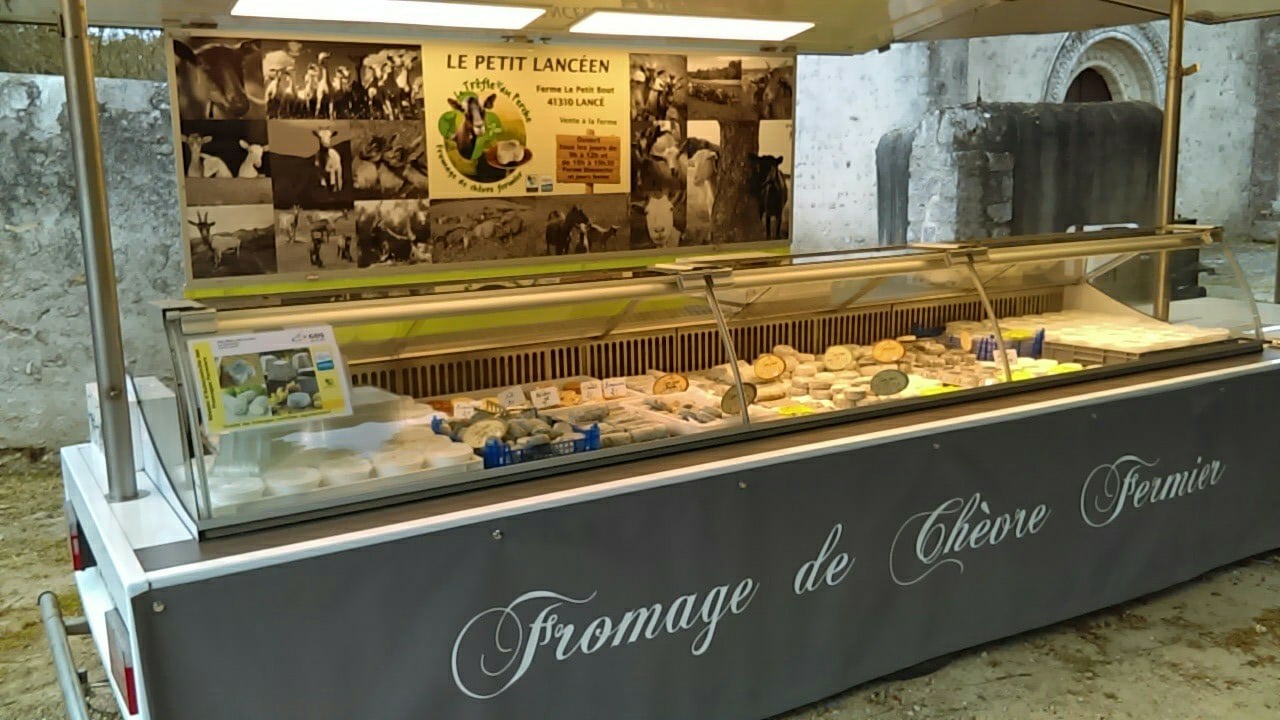 Le petit lancéen