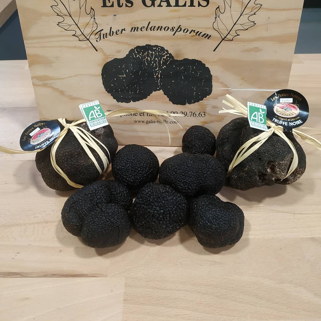 Truffes Galis