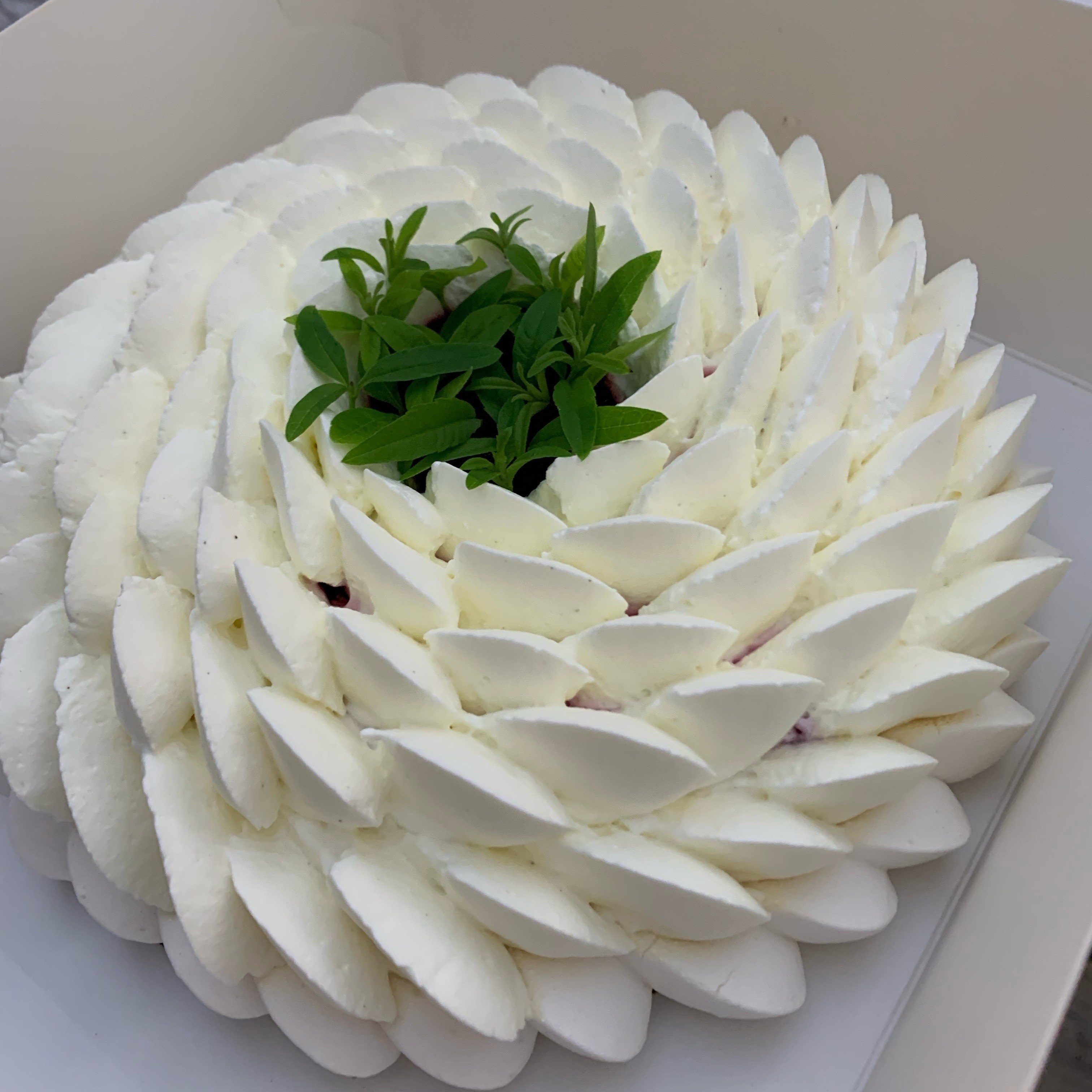 Pavlova de la Pâtisserie Brune à Marcq-en-Baroeul