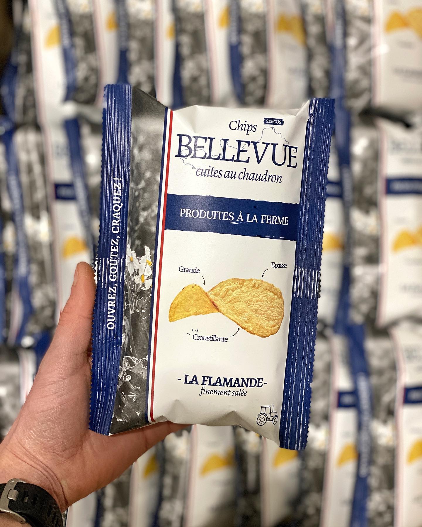 Chips Bellevue