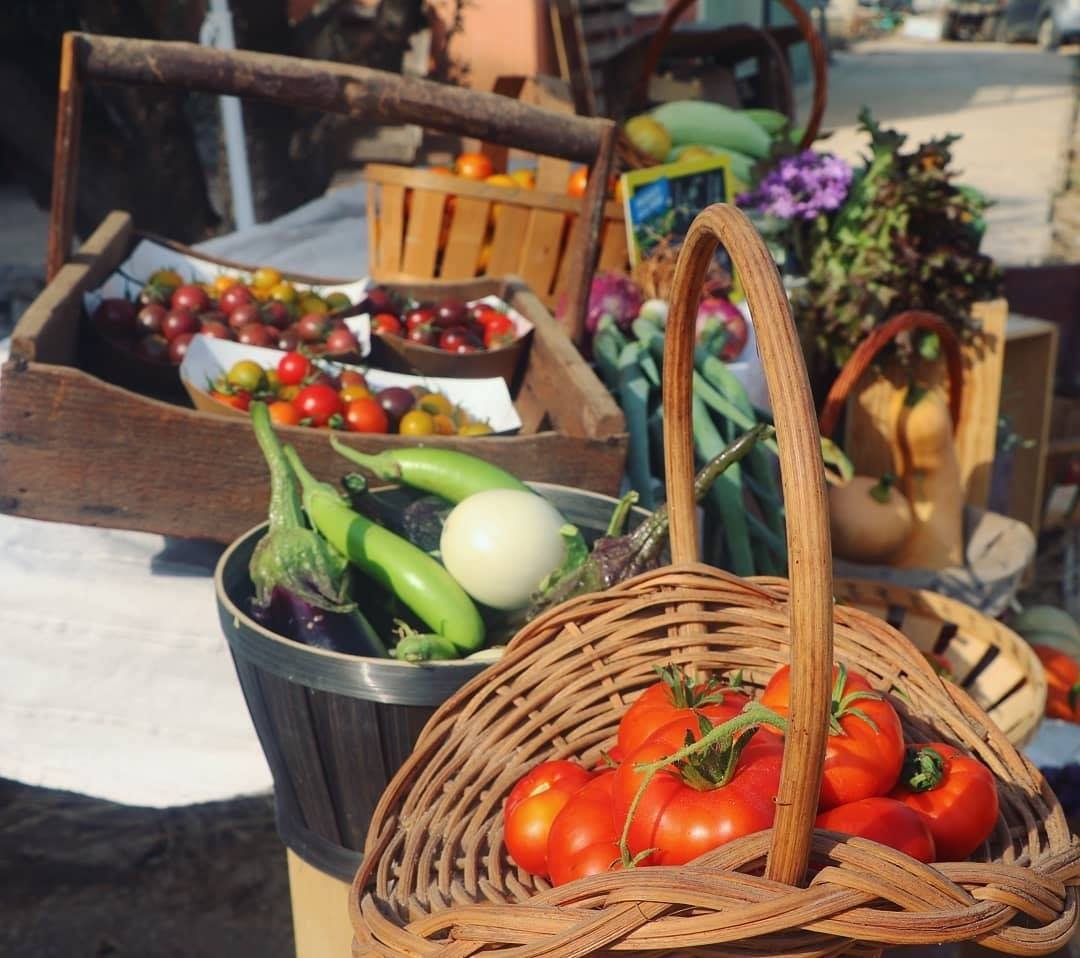 Mon potager bio