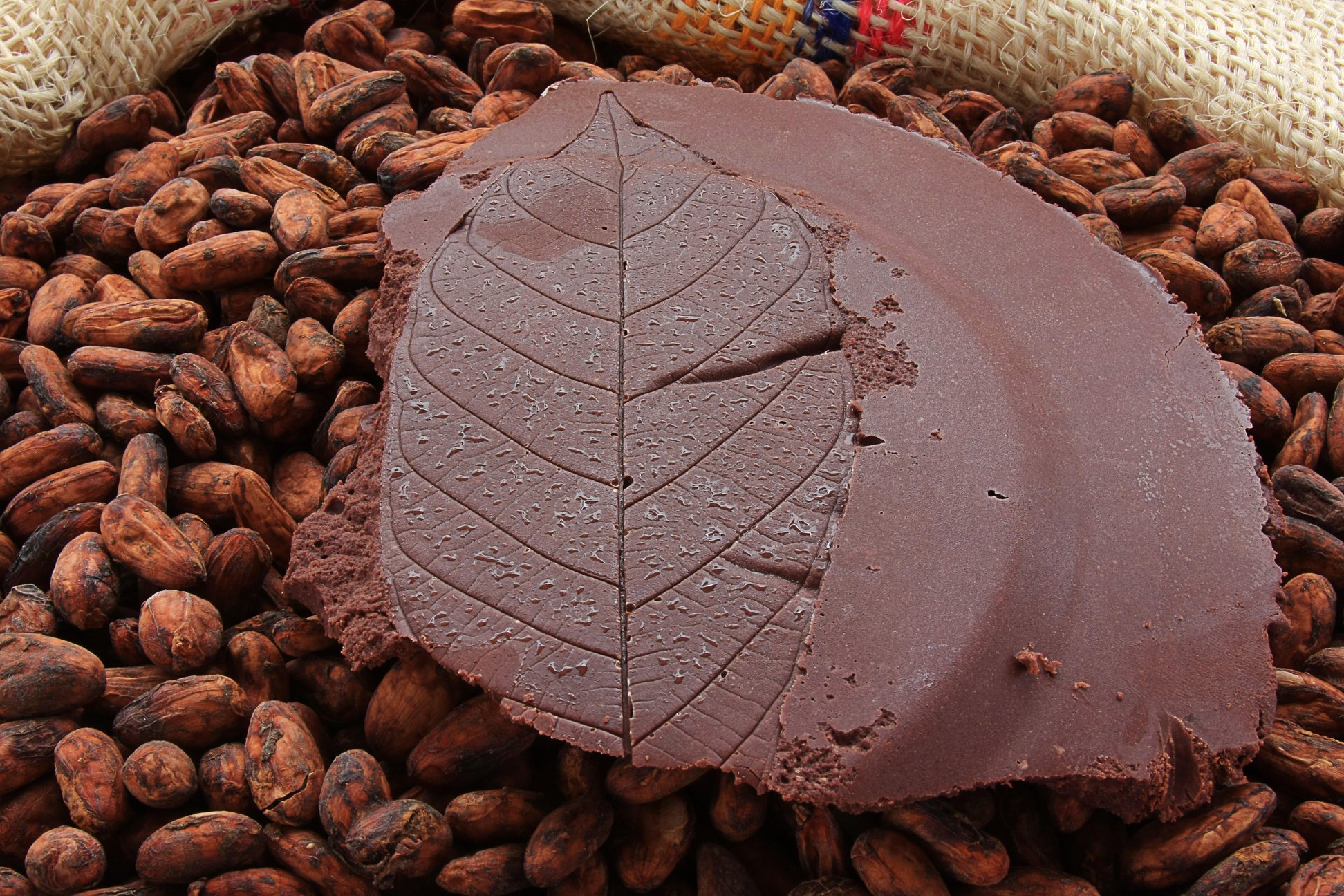 Chocolat Beussent Lachelle
