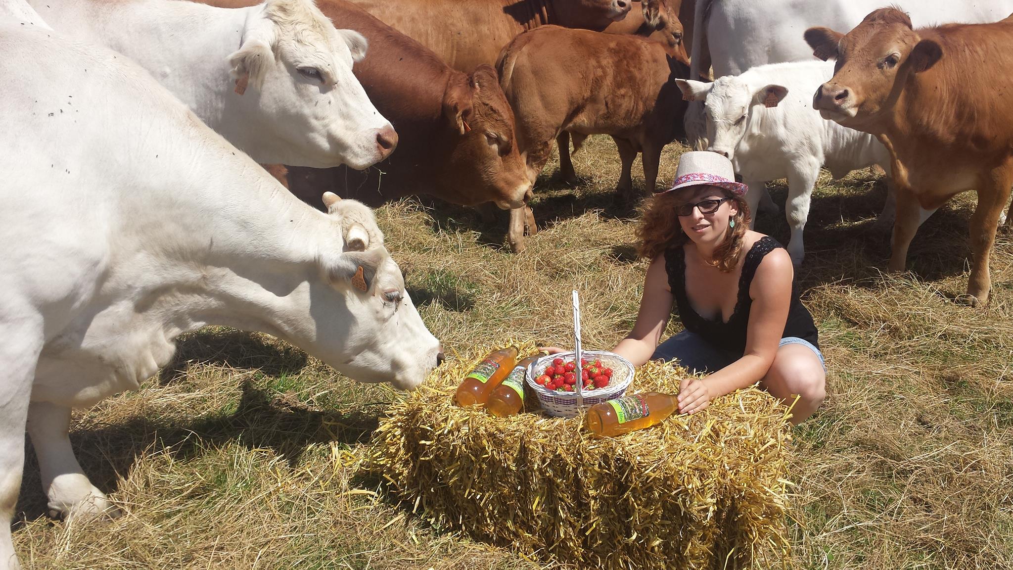 Producteur de produits laitiers Bio Ferme lionne