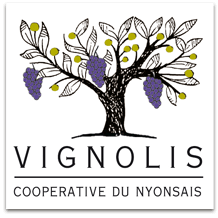 Vignolis