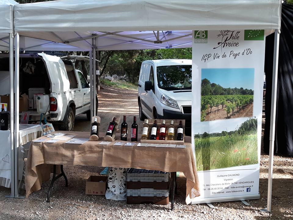 Vins Folle Avoine