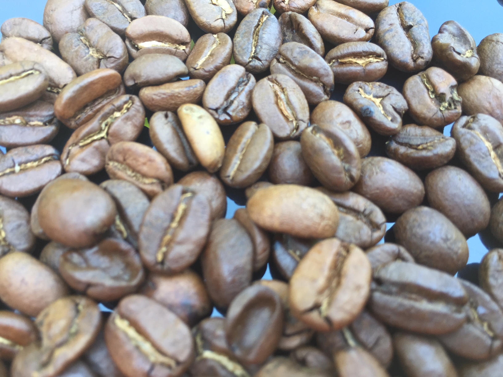 Terres de Café