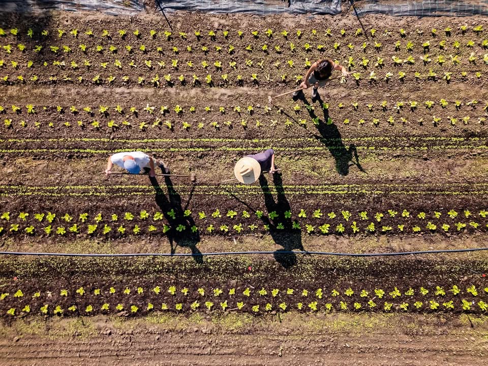 La Ferme du Partage