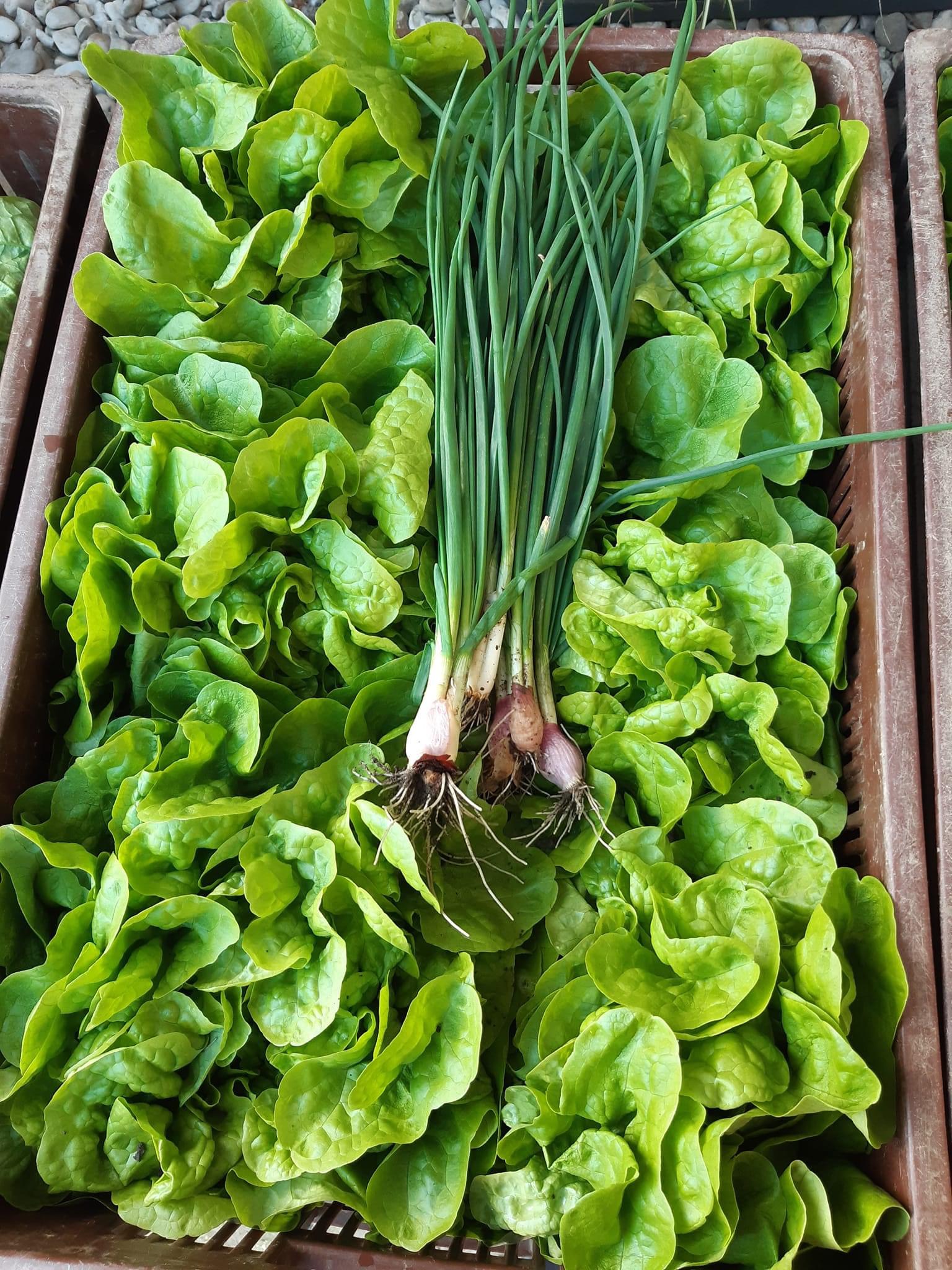 Aux légumes d'Illies