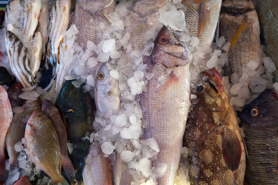 Marché aux poissons