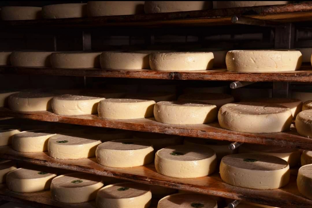 reblochon fermier