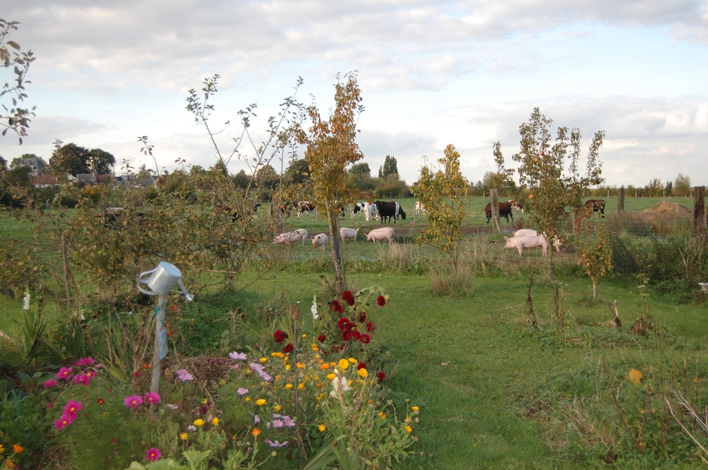 La ferme du tertre