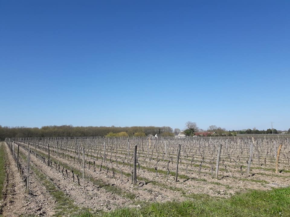Château de Fosse-Sèche