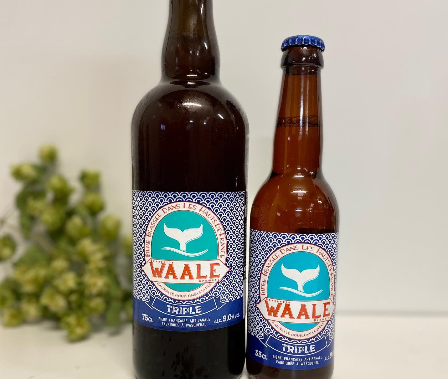 Biere brasserie à wasquehal