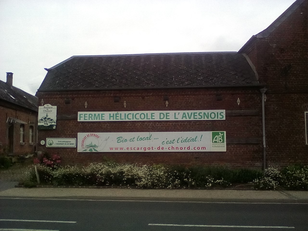 Ferme hélicicole de l'Avesnois - L'Escargot de ch'Nord