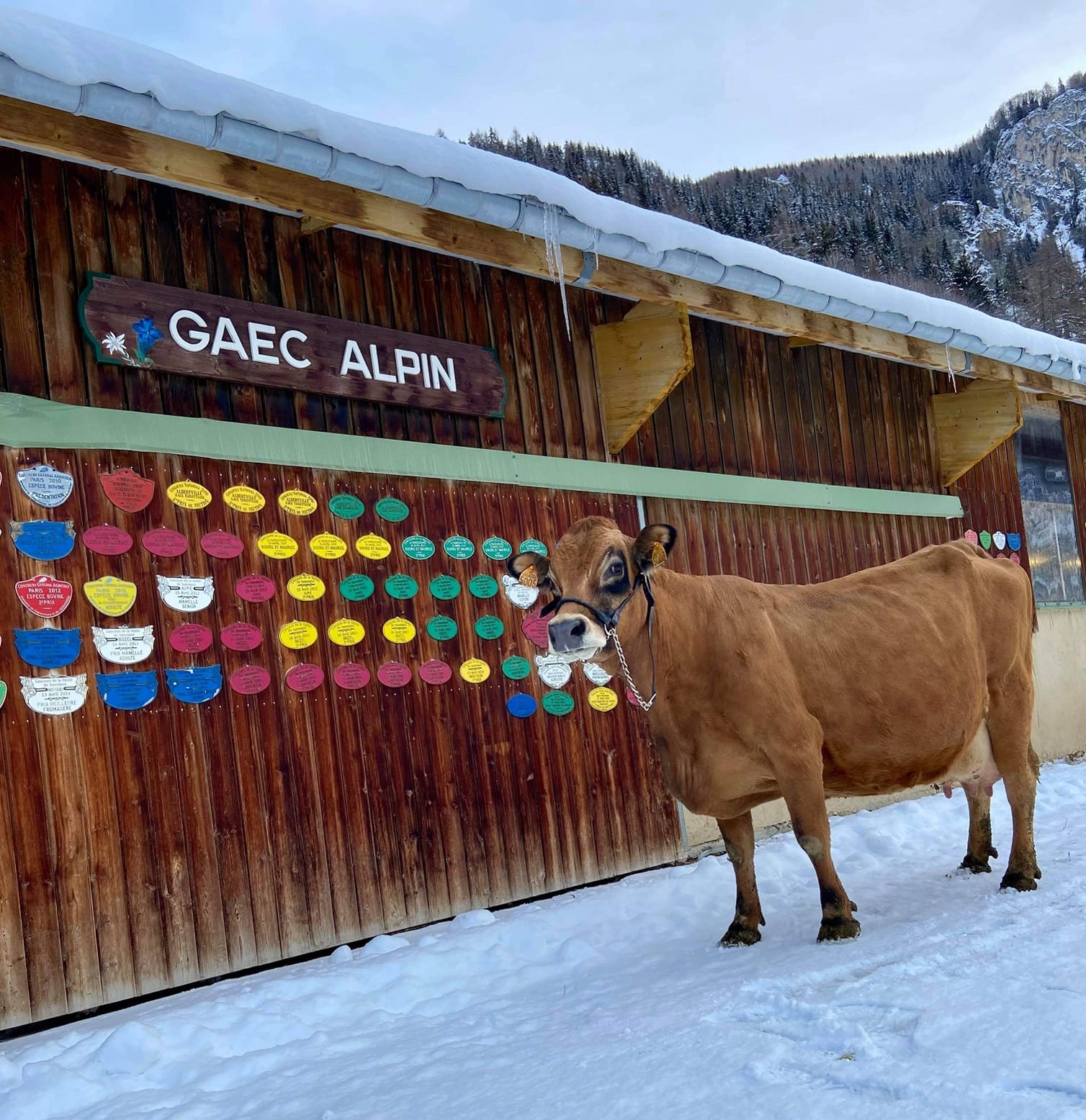 GAEC Alpin
