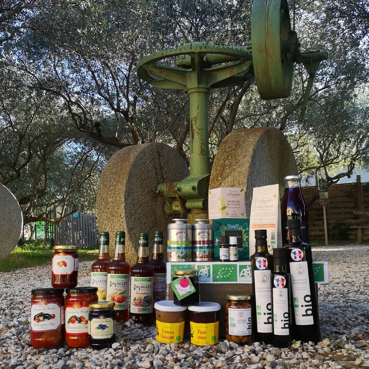 Huile d'olive en occitanie