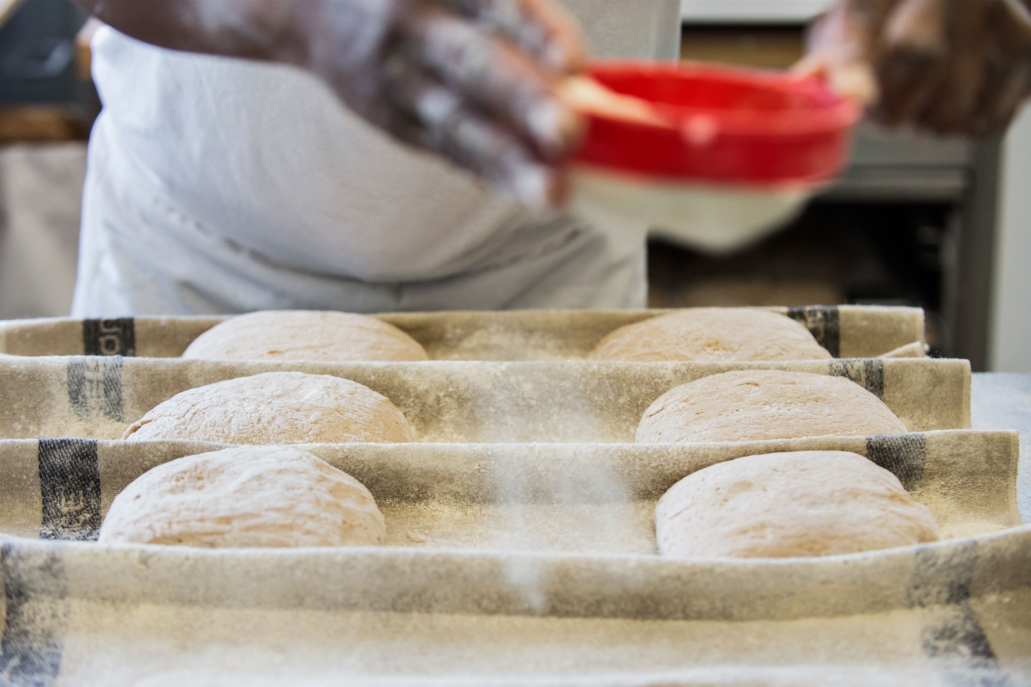 Ma boulangerie Bio à Lambersart