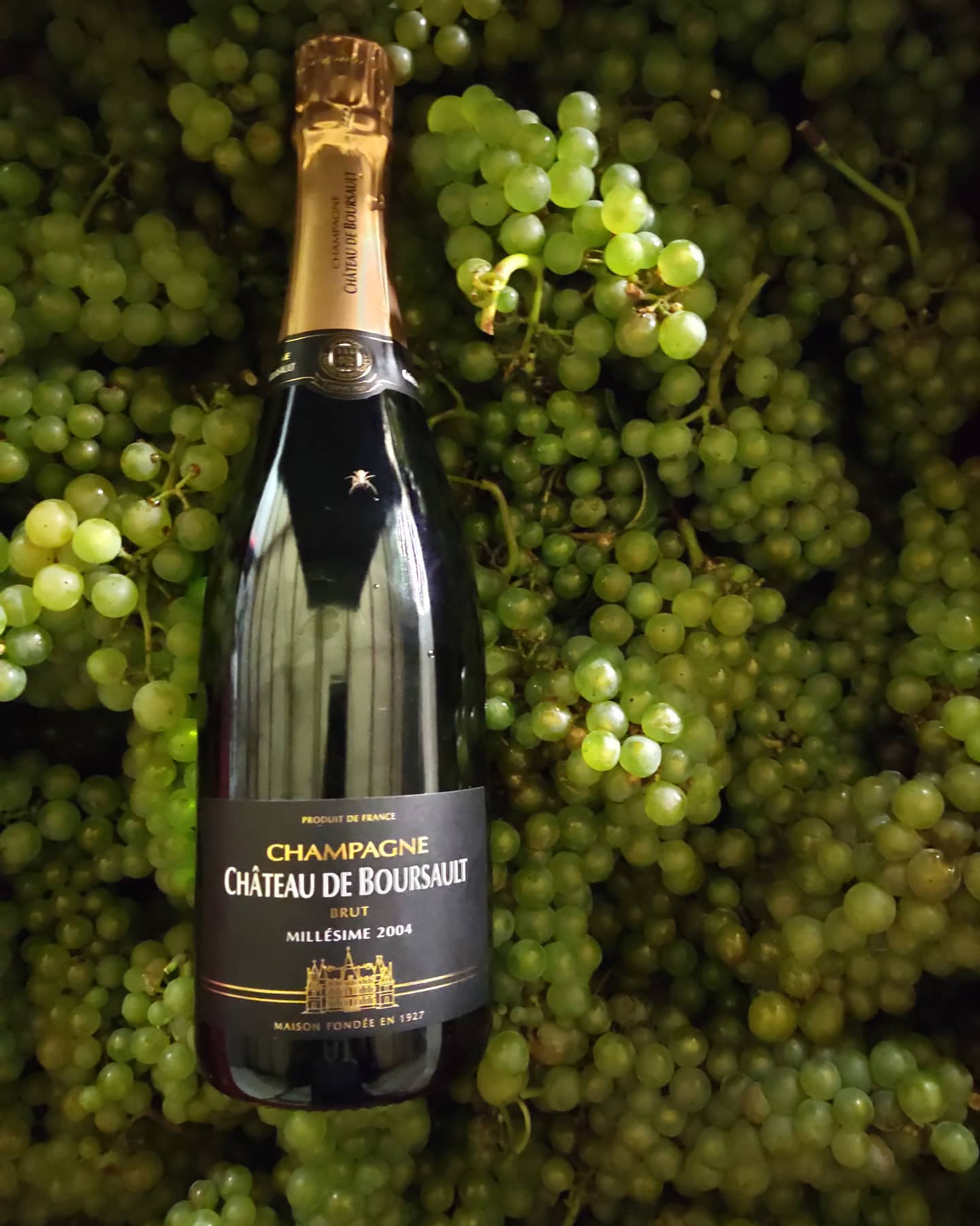 champagne chateau de boursault