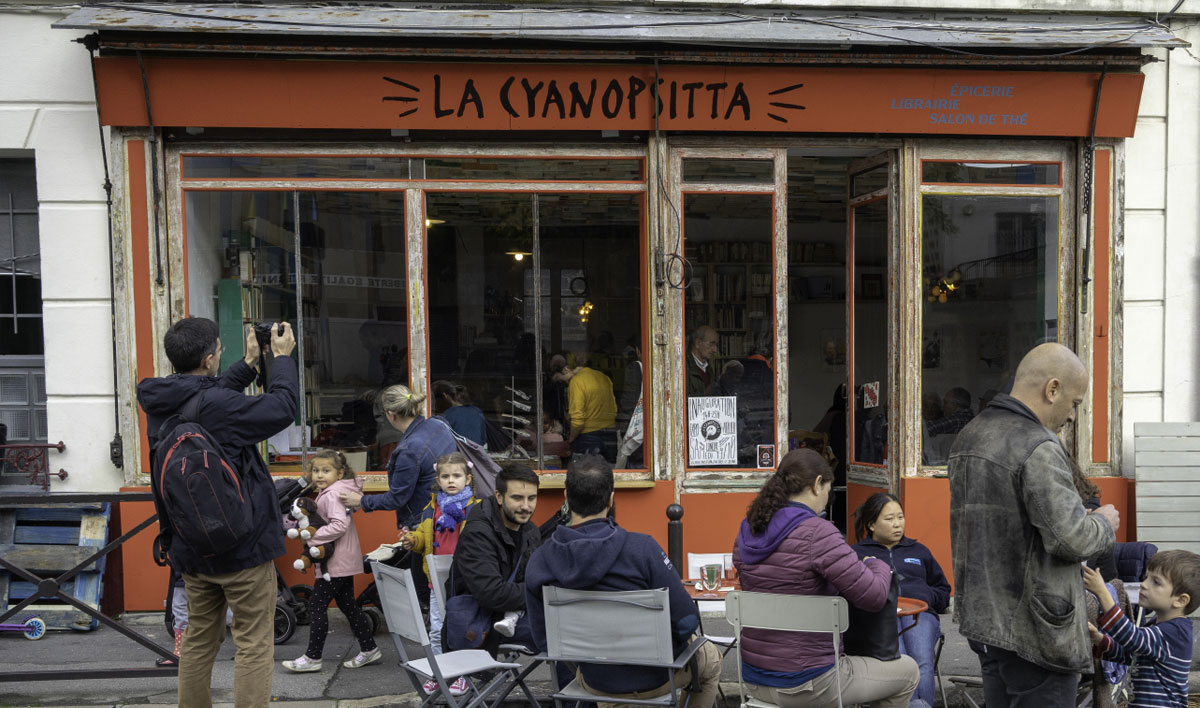 la cyanopsitta